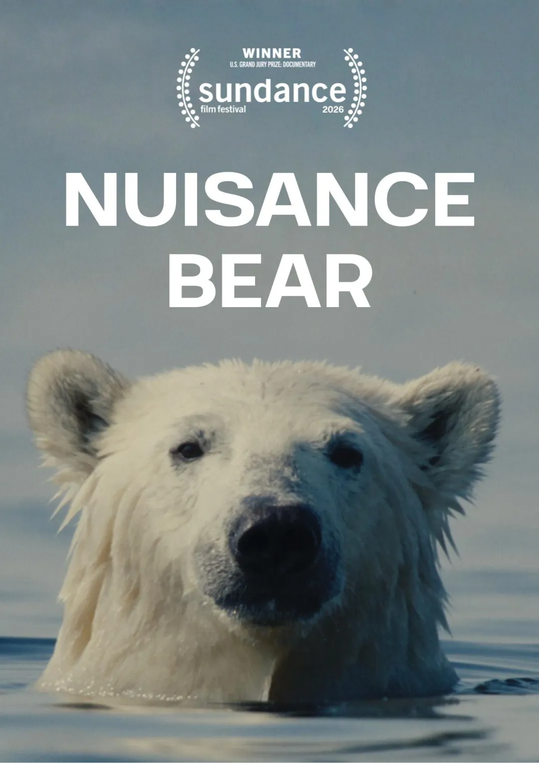 Nuisance Bear (inff 2026)