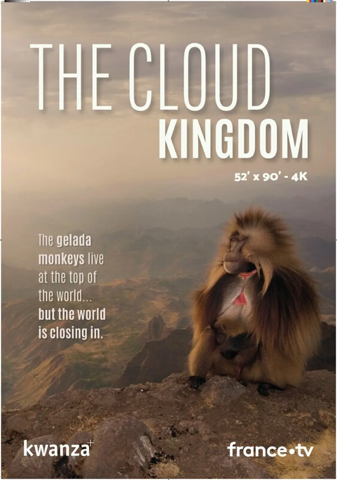 The Cloud Kingdom (inff 2026)