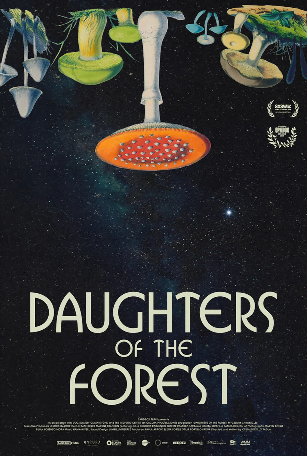 Daughters of the Forest (inff 2026)