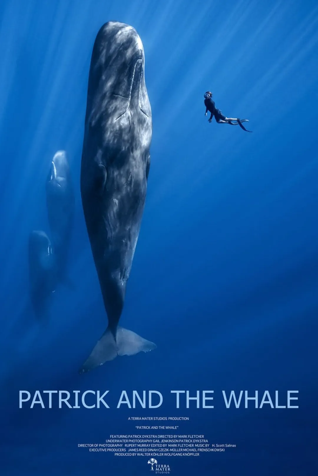 Retrospective – Patrick and the Whale (inff 2026)
