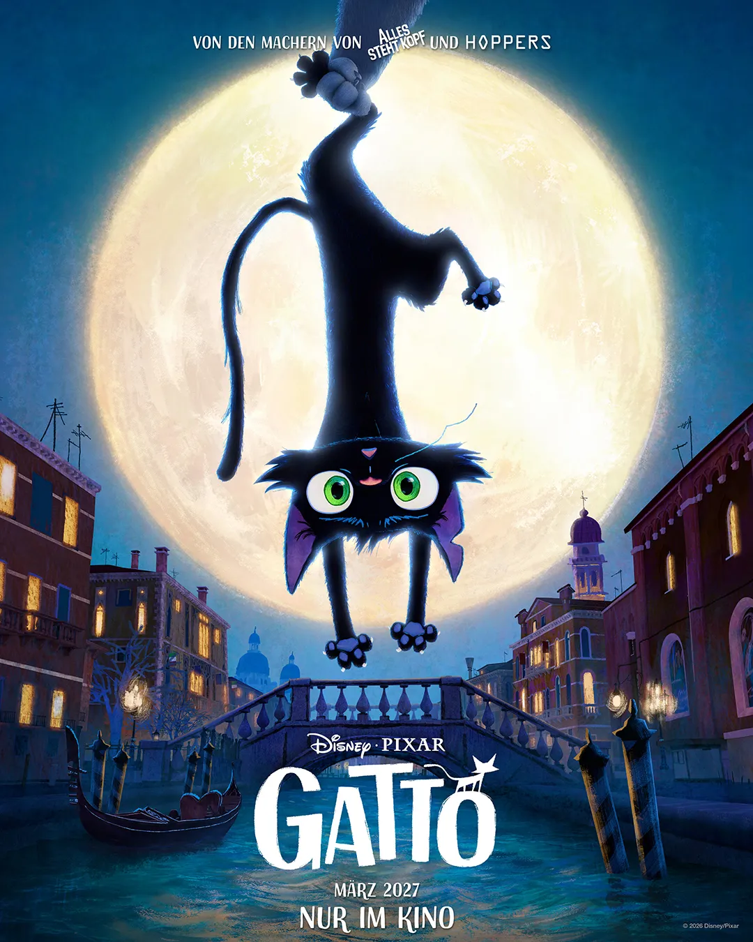 Gatto.webp