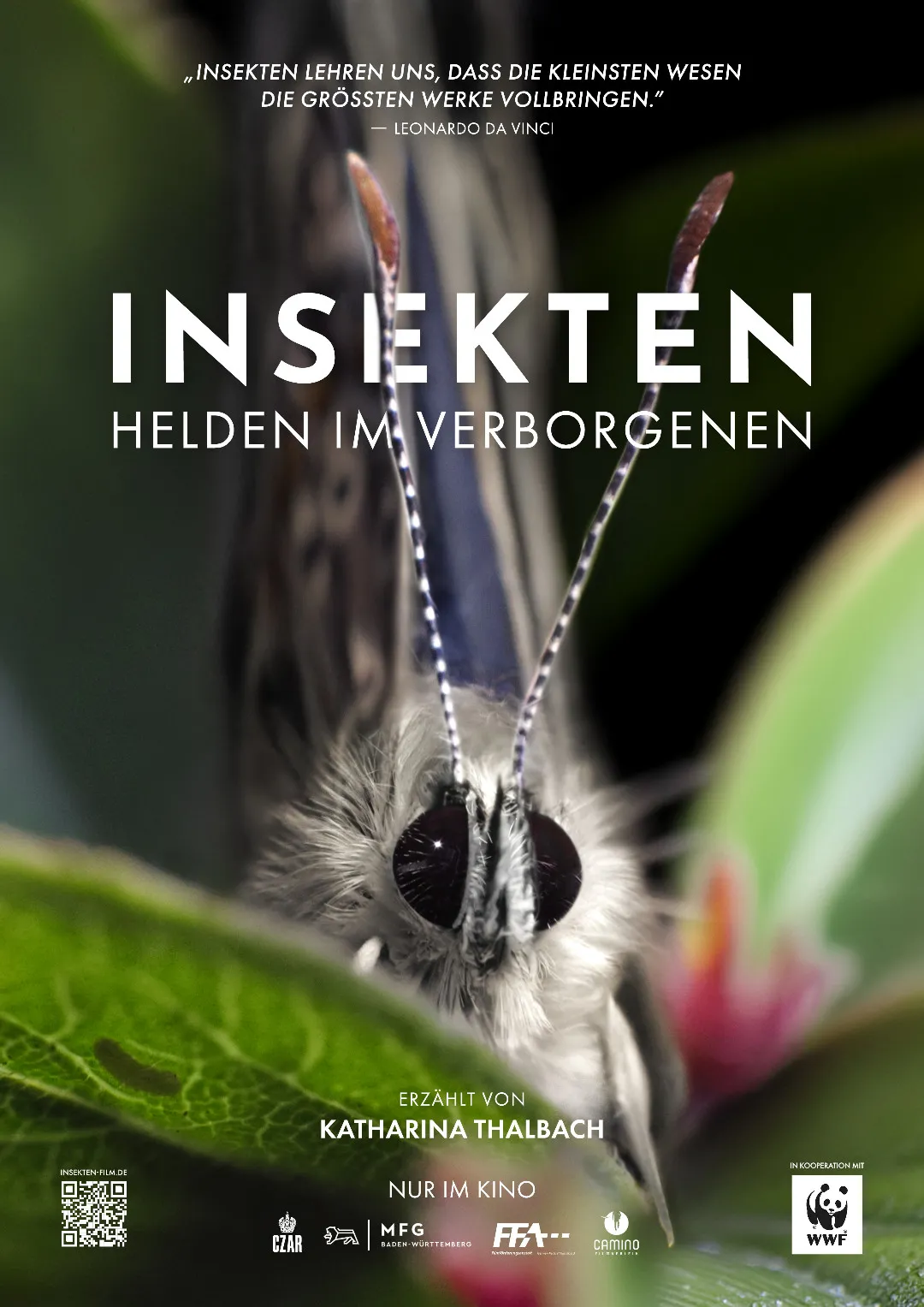 Insekten