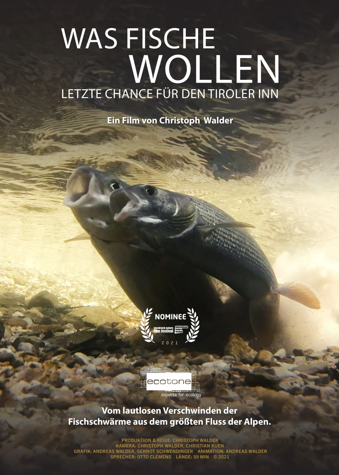 Retrospective – Was Fische wollen (inff 2026)
